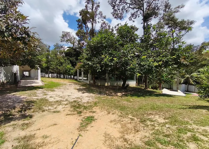 Alsafina Forest Stay